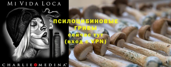 индика Аркадак