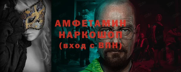 индика Аркадак