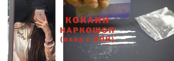 индика Аркадак
