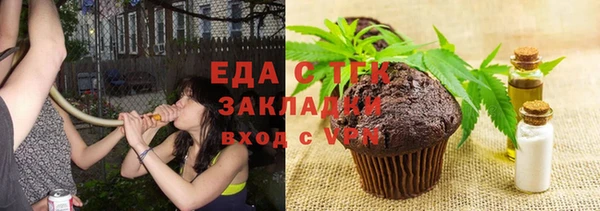 индика Аркадак