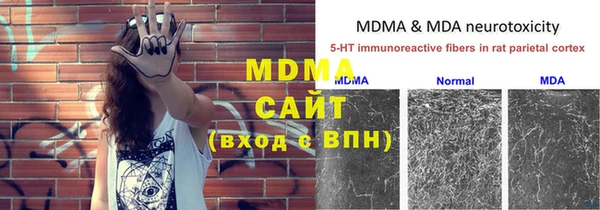 индика Аркадак