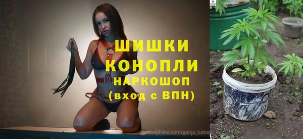 индика Аркадак
