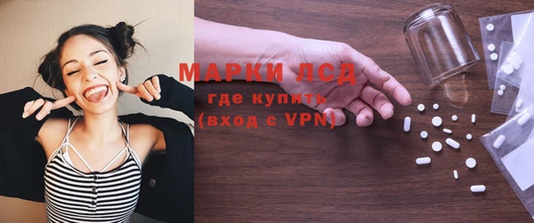 индика Аркадак