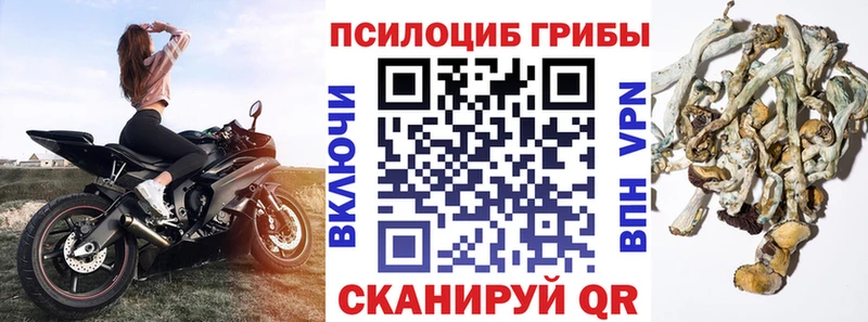 ОМГ ОМГ онион  Рыбинск  Псилоцибиновые грибы мухоморы 